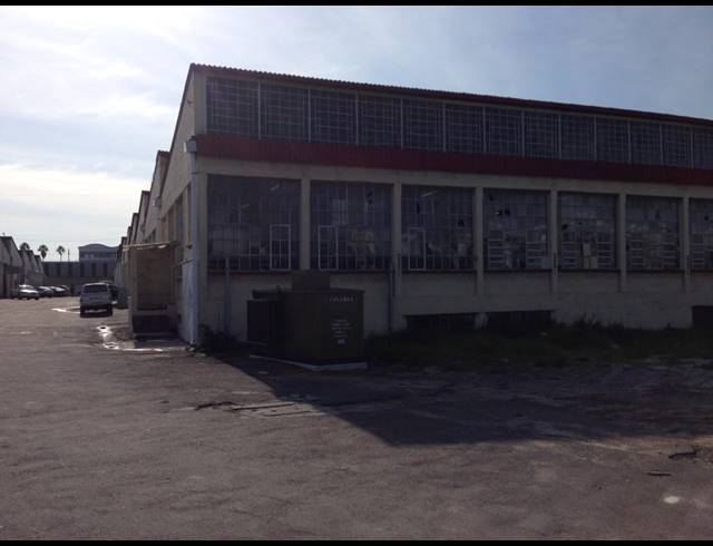 2,500M² FACTORY TO LET IN ELSIES RIVER INDUSTRIAL